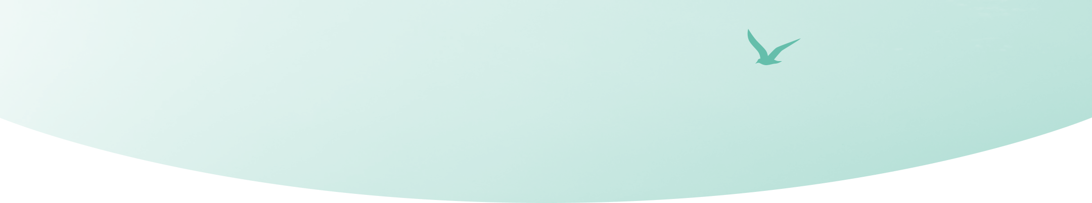 Newsletter background